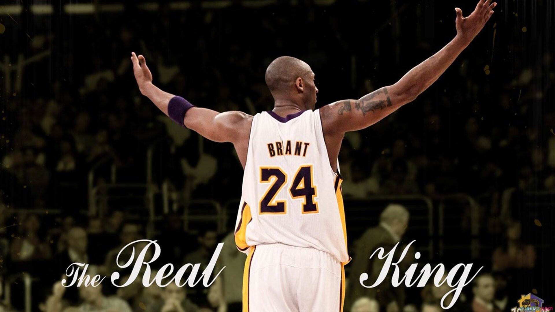 开云体育官网-观众互动新体验：现场投票选出最喜爱球员，球星投票